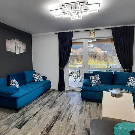Apartament Erika Premium Сіная Екстер'єр фото