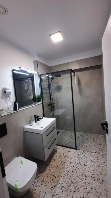 Apartament Erika Premium Сіная Екстер'єр фото