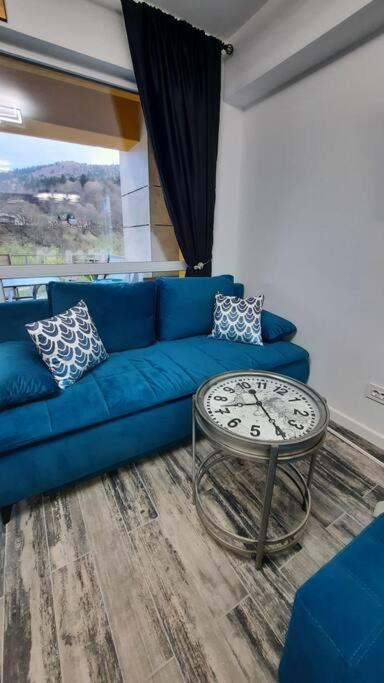 Apartament Erika Premium Сіная Екстер'єр фото