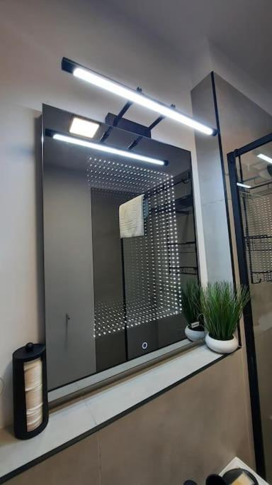 Apartament Erika Premium Сіная Екстер'єр фото