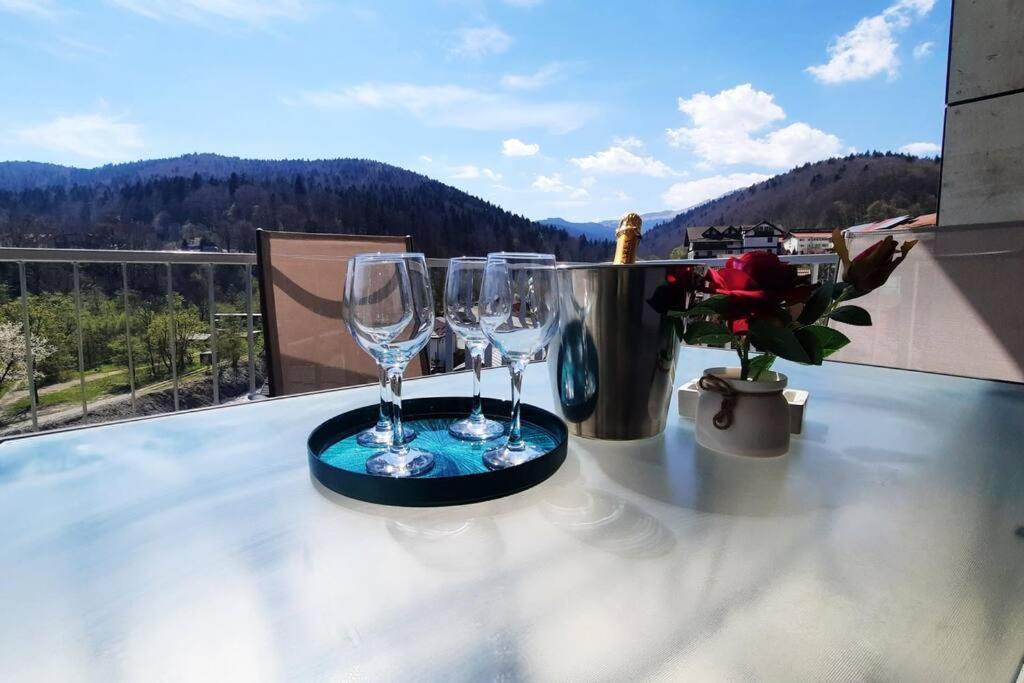 Apartament Erika Premium Сіная Екстер'єр фото